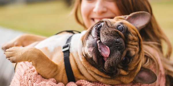 Lydnadskurs med glad hund medborgarskolan