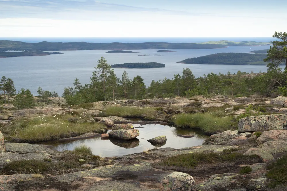 Natur i Västernorrland