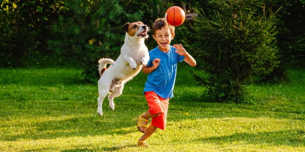 Gå-på-agility-kurs-med-din-hund-medborgarskolan